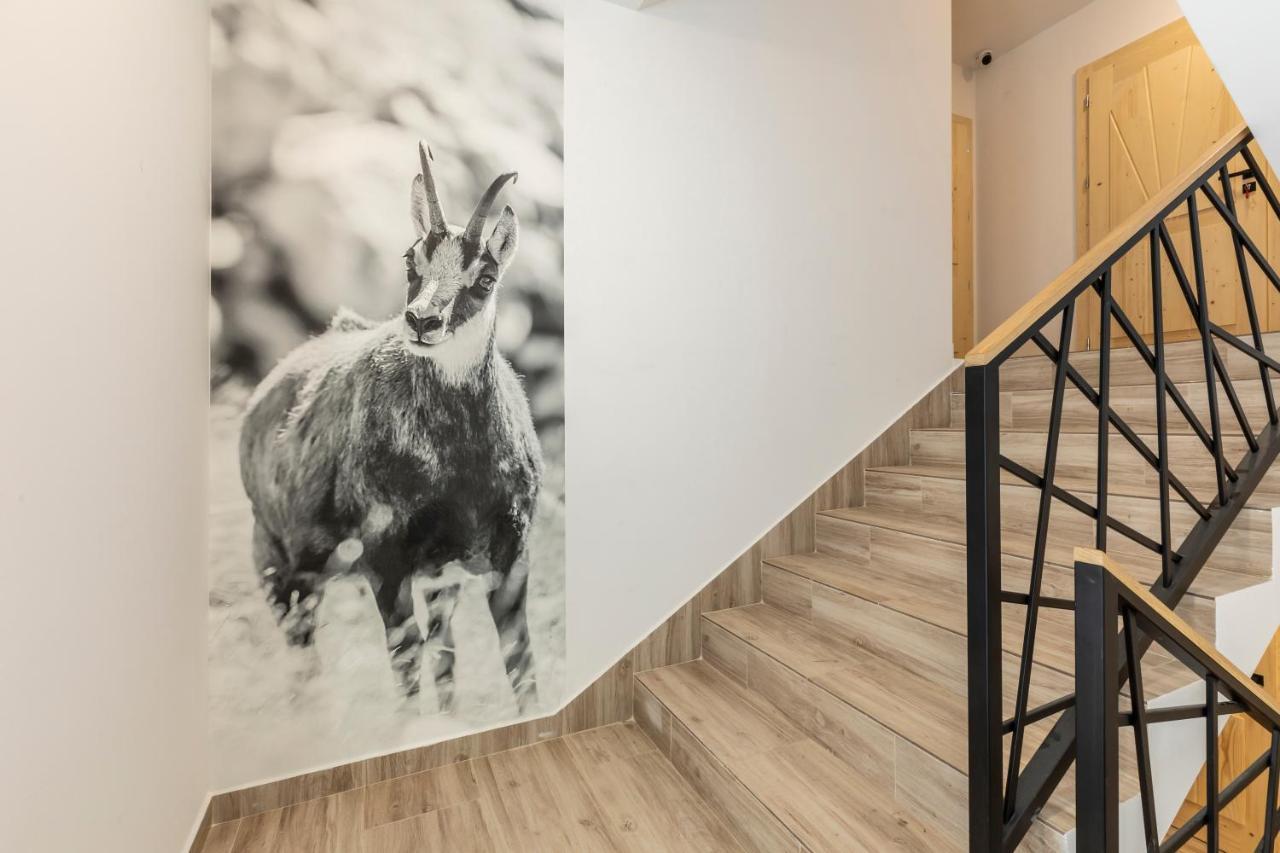 Tatrytop Apartamenty Alpejski Spa 코스실리스코 외부 사진