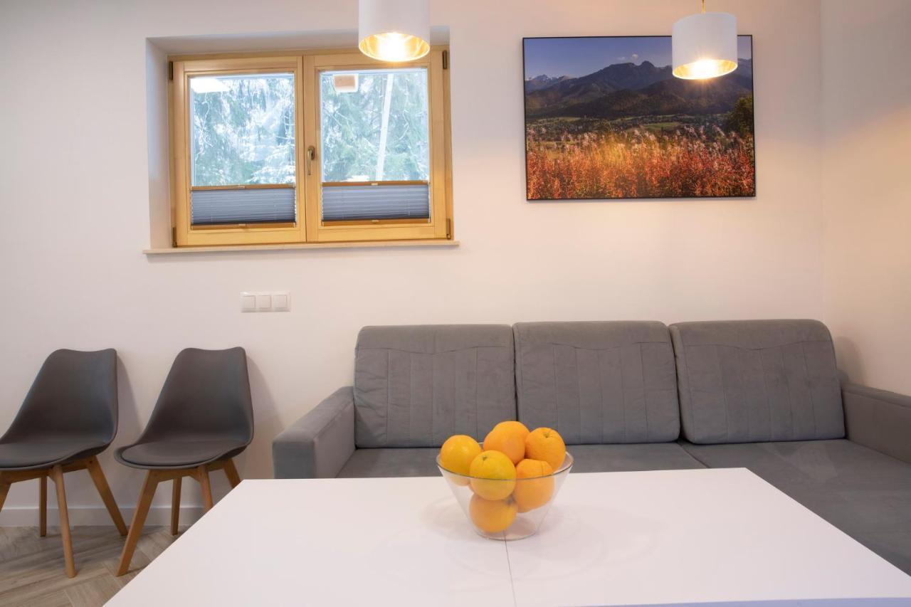 Tatrytop Apartamenty Alpejski Spa 코스실리스코 외부 사진